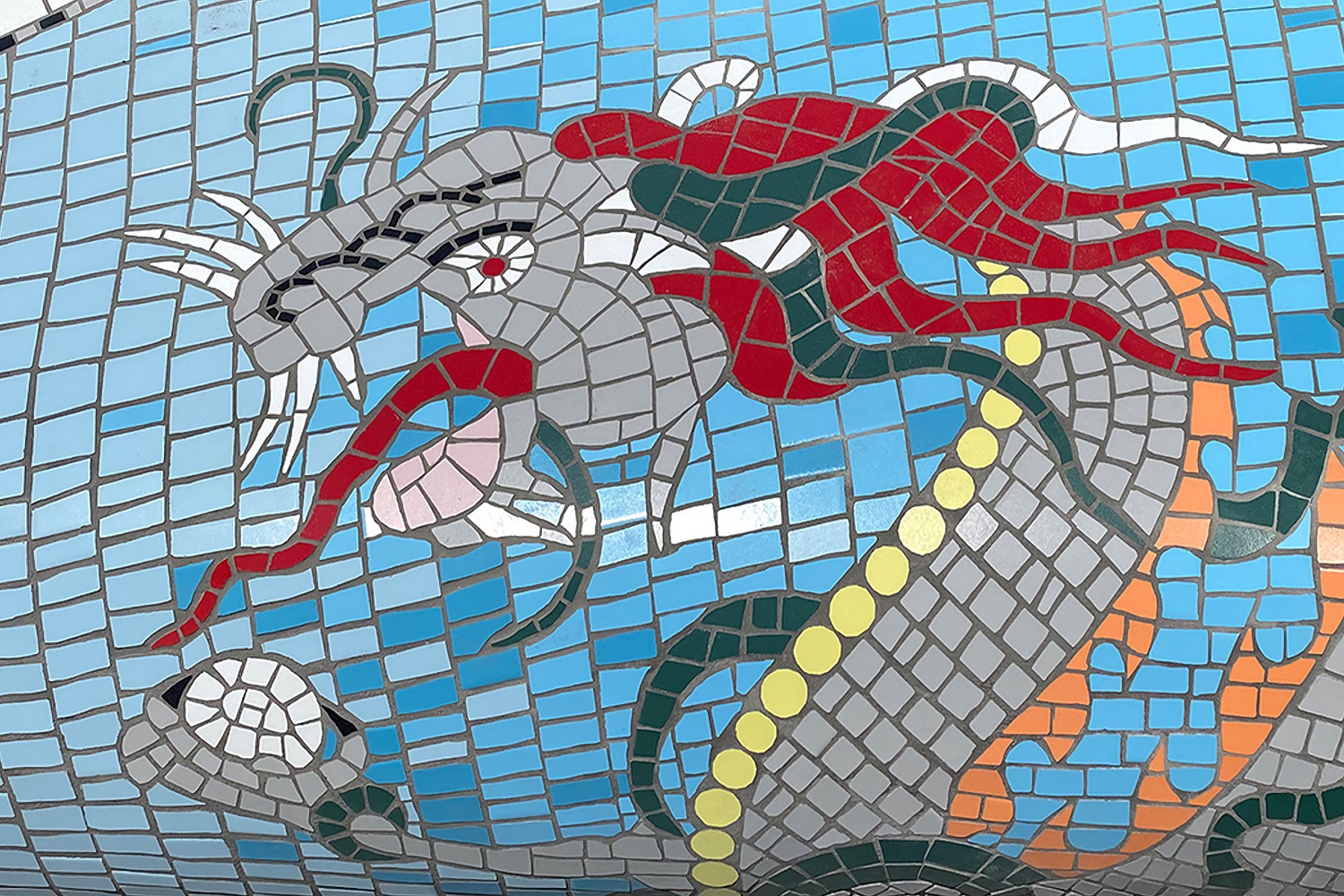 placeholder image-sq